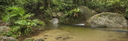 Wurrmbu Creek - Mossman Gorge - QLD H (PBH4 00 17000)